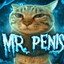 MR. Pianits