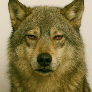 NuRelI - steam id 76561199197798323