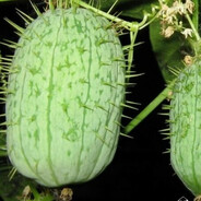 оптимус прайм