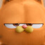 Garfield only1
