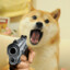 The Unfriendly Doge