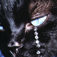 кмс по куни