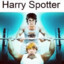 Harry Spotter