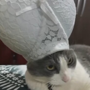 radu
