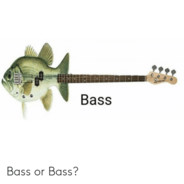 avatar Bass