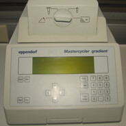 амплификатор