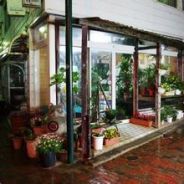 绍兴鲜花店人泯中路142