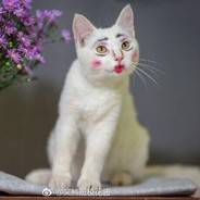 多串君