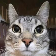 молинке молинке