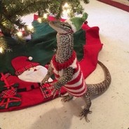 That One Merry Lizard