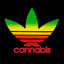 Mr. Cannabis