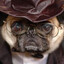 Edwardo