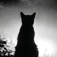 her eyes... Steam avatar