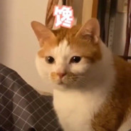 功成不必有我，功差必定有我