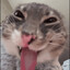 Bobachaヅ
