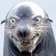 马里旺枪神黑老妇