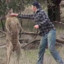 Kangaroopuncher