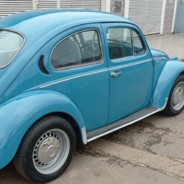 Ruy, o Fusca azul