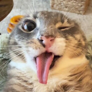 ЛехаПетарда