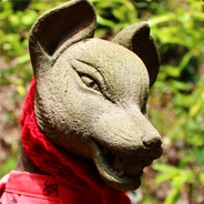 willplus avatar