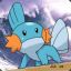 Mudkip808