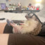 MrFanciPants