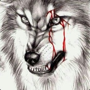 笨猪与傻狗的战争