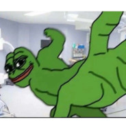 哪里有尼哥