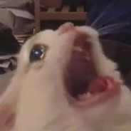 bleaurgh