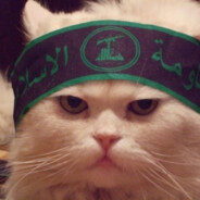 попробуй погладь