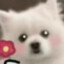 倪八八