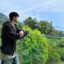 RoyeYang