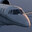 Cessna Citation X