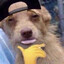 BogdanMeHigh