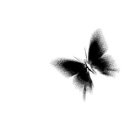 工作的时候请称职务