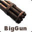 BigGun