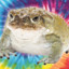 Toad Shaman