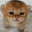ChrisTheFish's Avatar