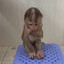 littleittybittymonkey19241245912