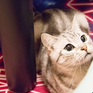 田忌来了都得说好马