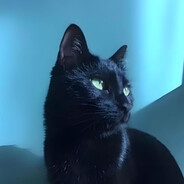 绮丽丽丽丽丽丽丽丽丽