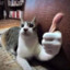 oleg