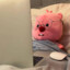 核仁