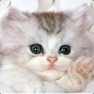 Krashk - steam id 76561197961422686