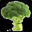 broccoli god