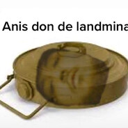 Anis don de landmina avatar