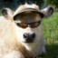 La petit cow