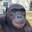 adriancg_00