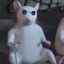 Rato Cego