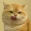 san